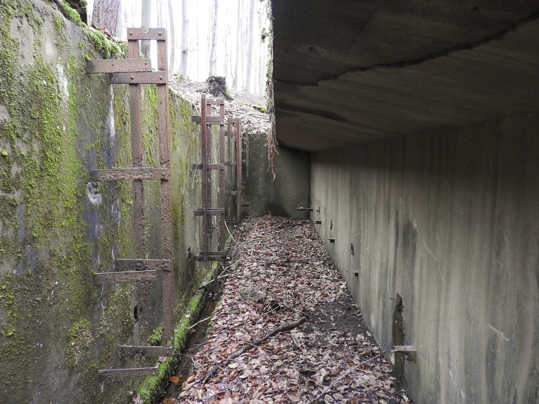 Ligne Maginot - MARKBACH - (Stand de tir) - Dans la tranchée, l'abri des marqueurs - STENGER Mathieu