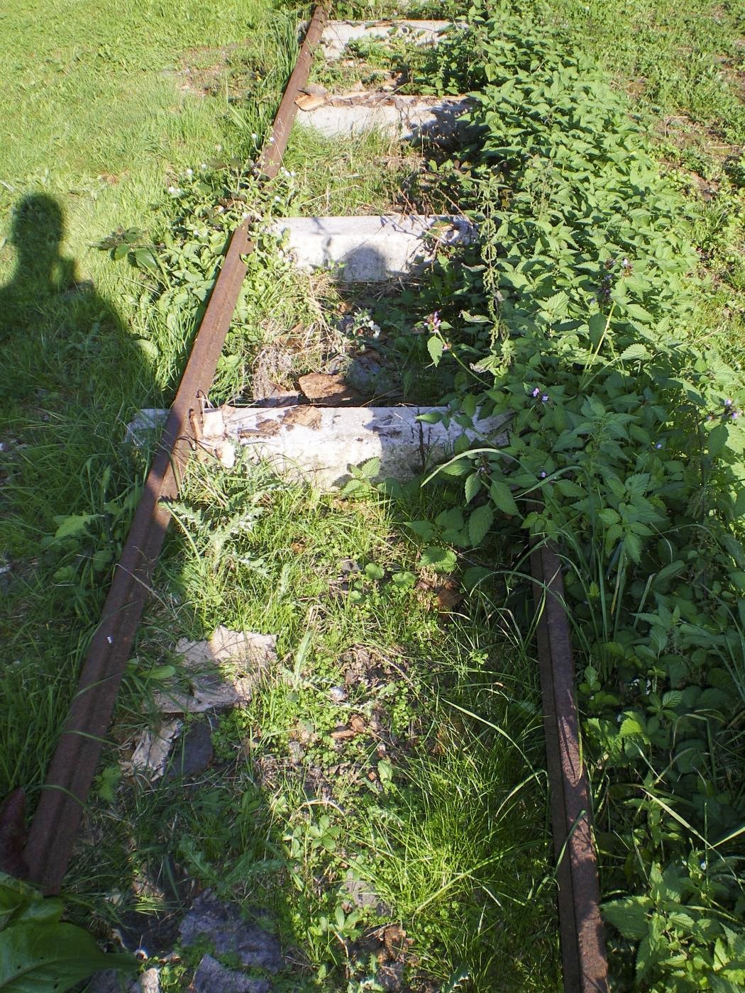 Ligne Maginot - VF60 -Antenne du Four-à-Chaux - Les rails démontés et retrouvés  a quelques pas de la ligne, utilisés pour du stockage de bois. - donceuh