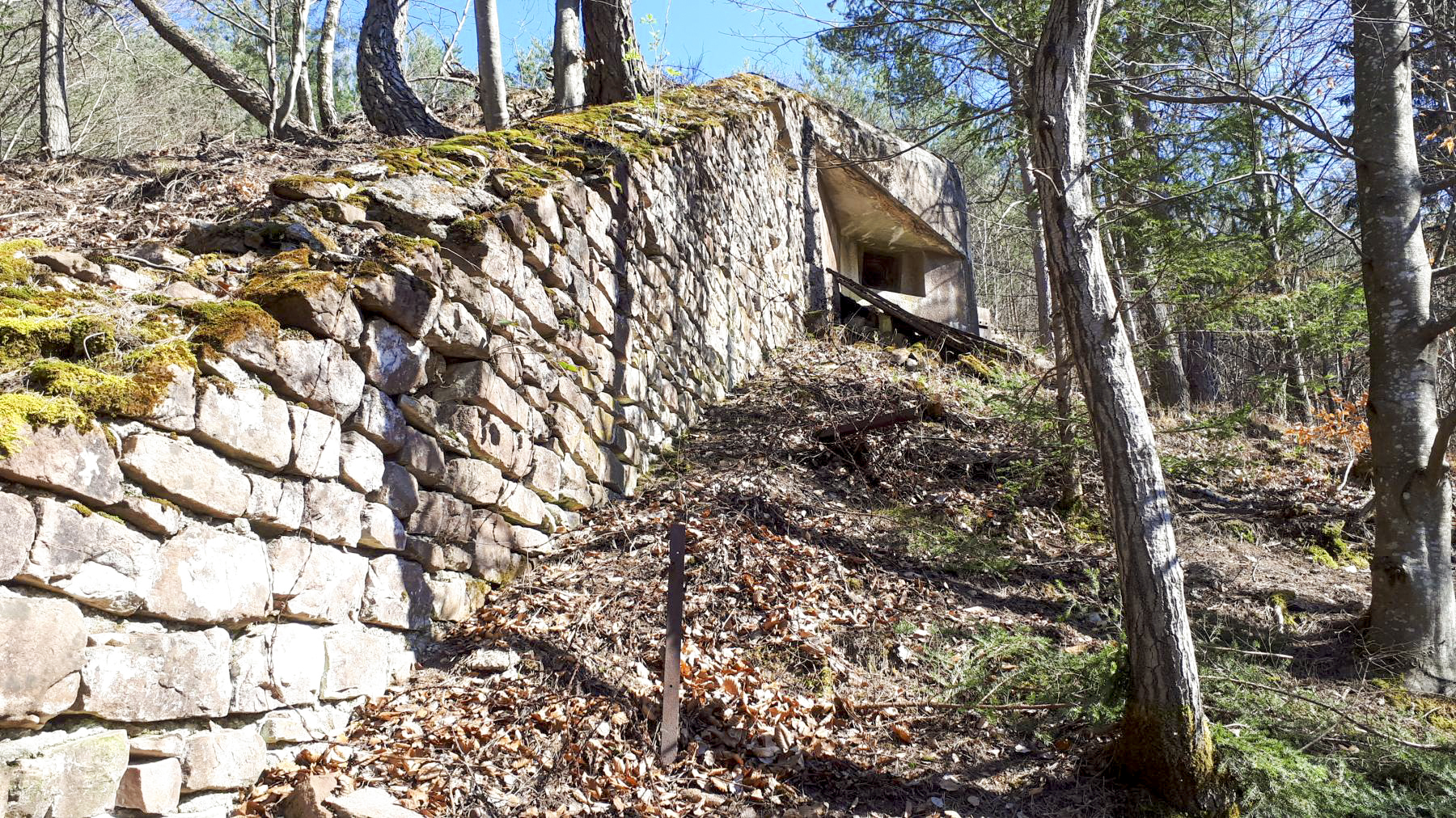 Ligne Maginot - NONNENHARDT N°1 - (Blockhaus pour arme infanterie) - Le mur de soutènement suit le dénivelé négatif de la pente - Gregory Fuchs