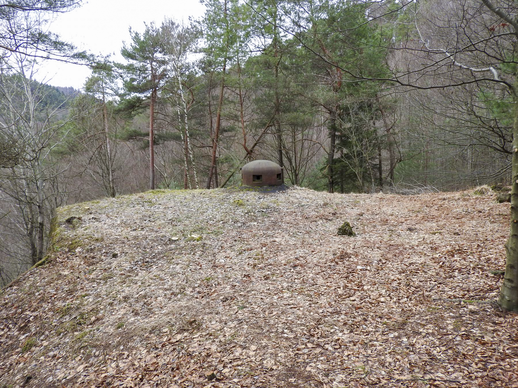Ligne Maginot - NONNENHARDT N°1 - (Blockhaus pour arme infanterie) - La dalle du blockhaus et la cloche GFM - STENGER Mathieu