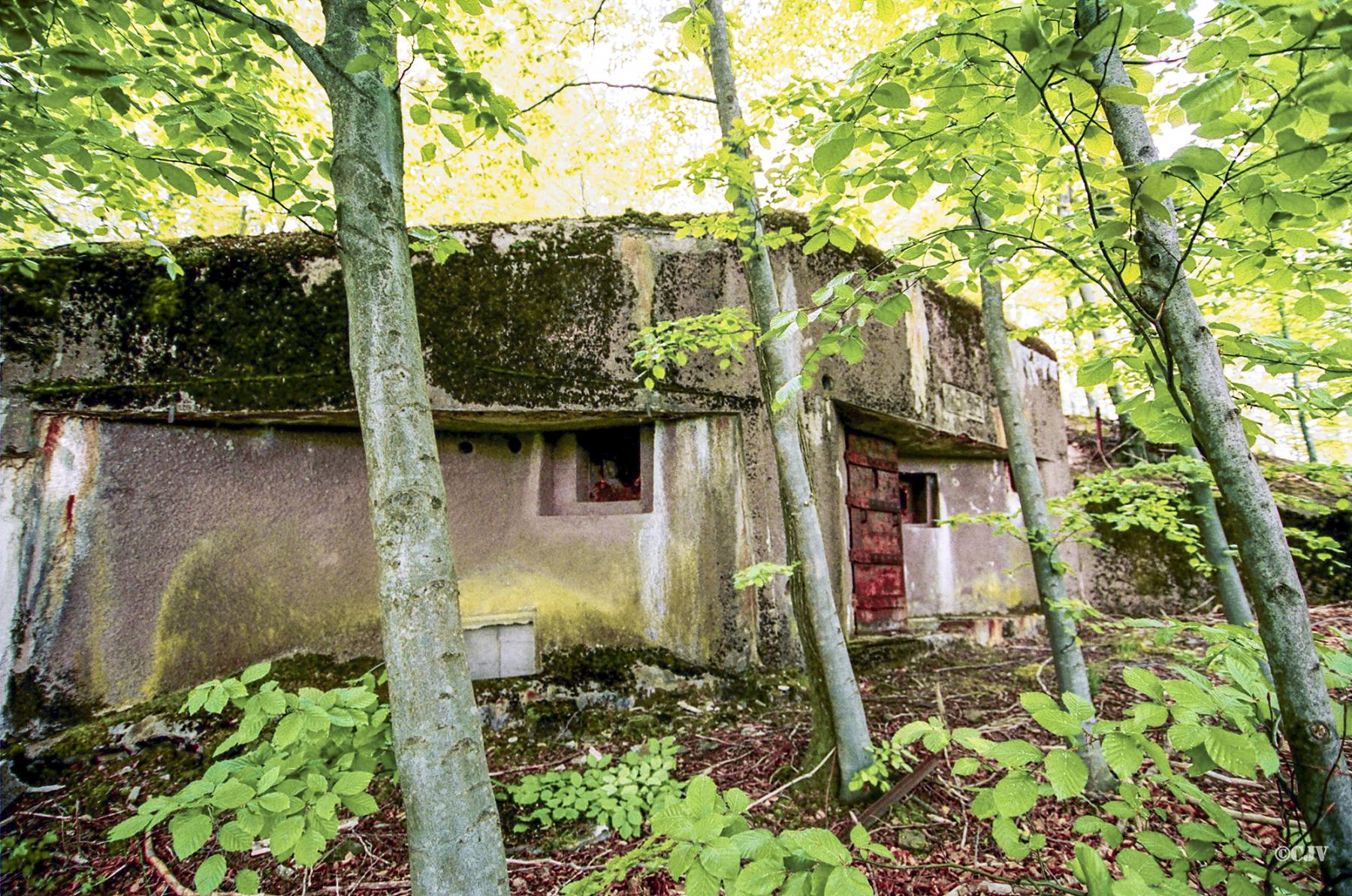 Ligne Maginot - NONNENHARDT N°2 - (Blockhaus pour arme infanterie) - Vue générale vers la chambre de tir - Lia VERMEULEN