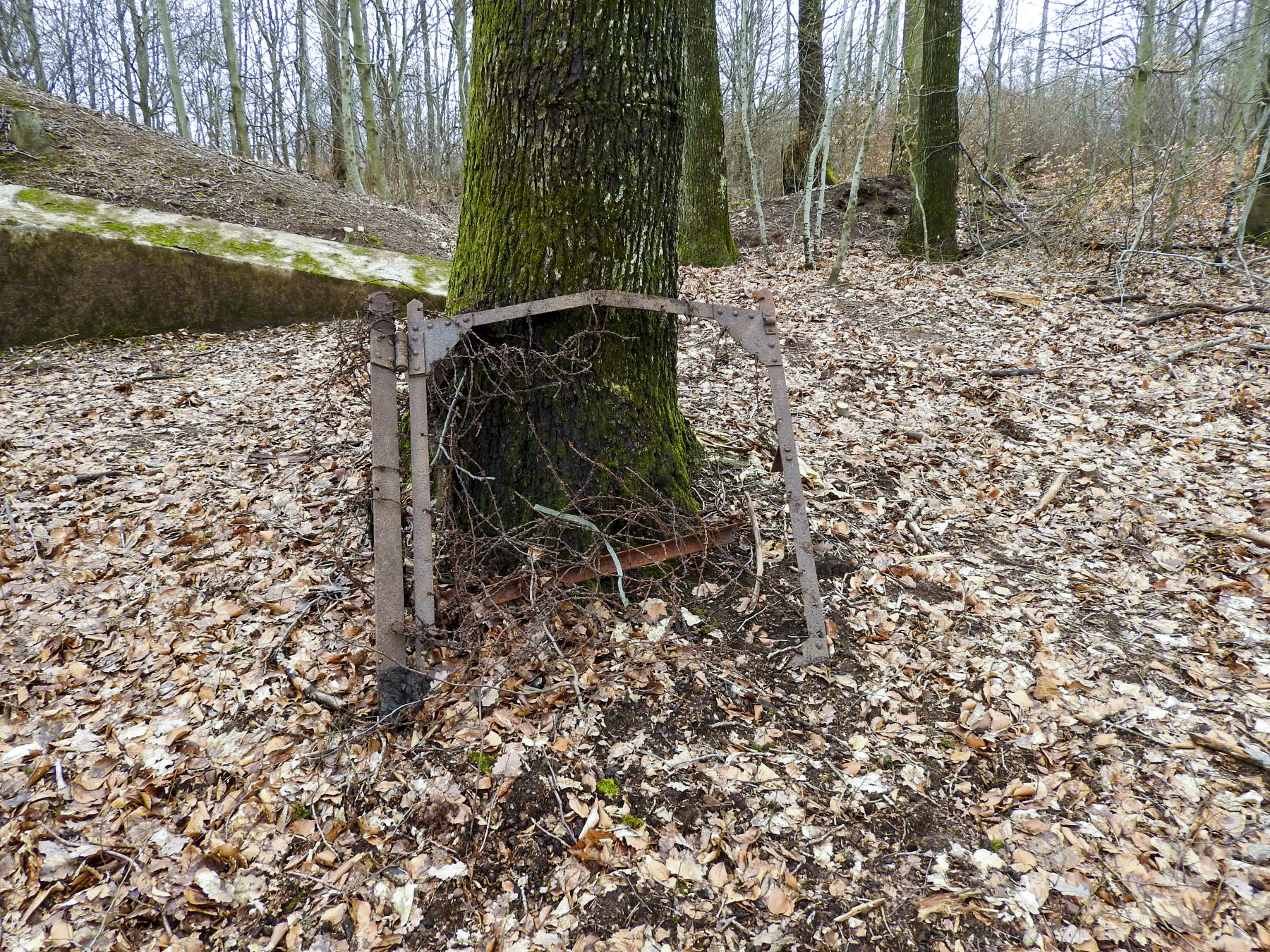 Ligne Maginot - NONNENHARDT N°2 - (Blockhaus pour arme infanterie) - Un portillon du réseau barbelés - STENGER Mathieu