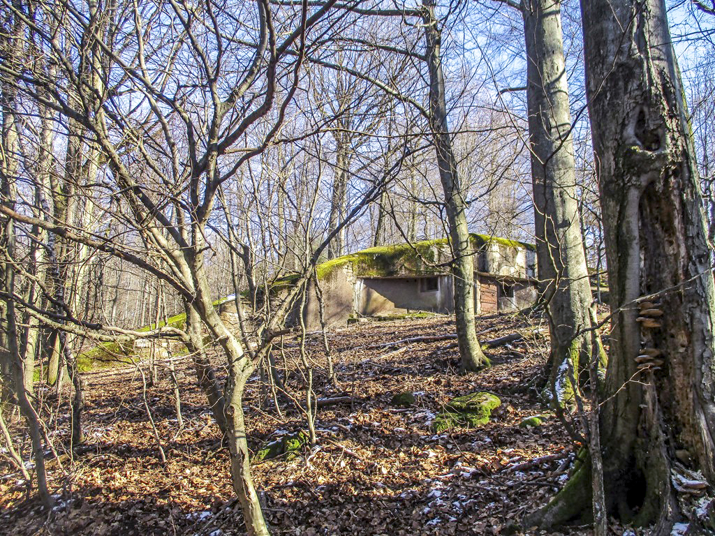 Ligne Maginot - NONNENHARDT N°2 - (Blockhaus pour arme infanterie) - Le blockhaus dans le bois de Nonnenhardt - Fré Do