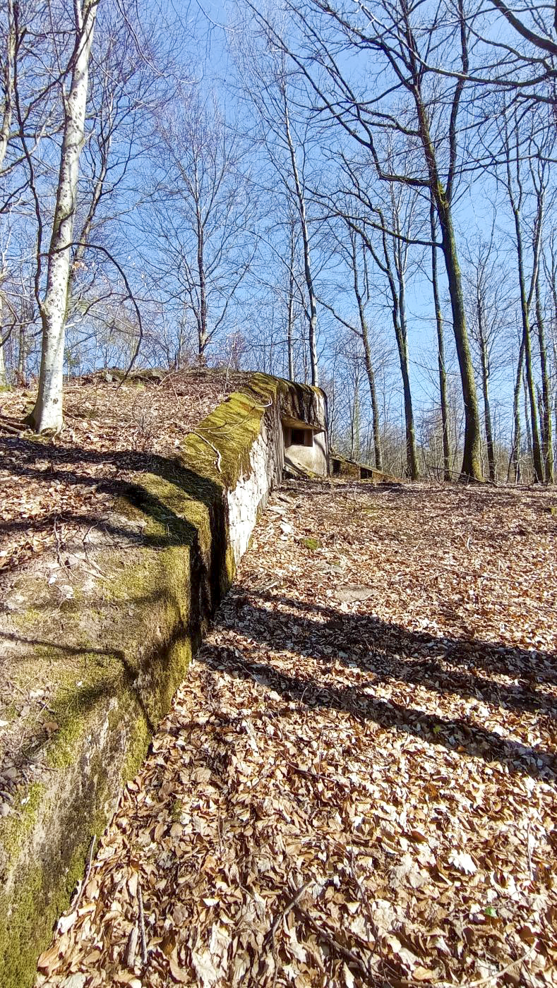 Ligne Maginot - NONNENHARDT N°2 - (Blockhaus pour arme infanterie) - Le mur de soutènement suit le dénivelé négatif de la pente - Baptiste GAUDIN