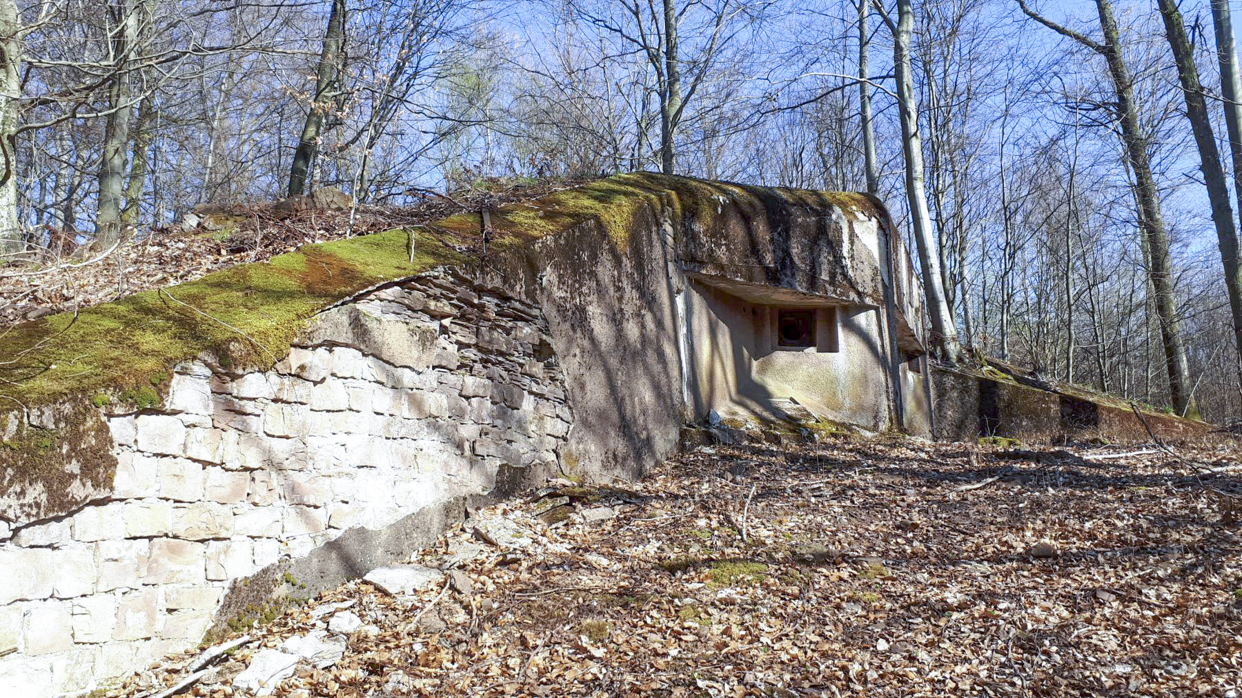 Ligne Maginot - NONNENHARDT N°2 - (Blockhaus pour arme infanterie) - Mur de soutènement et chambre de tir FM principal - Gregory Fuchs