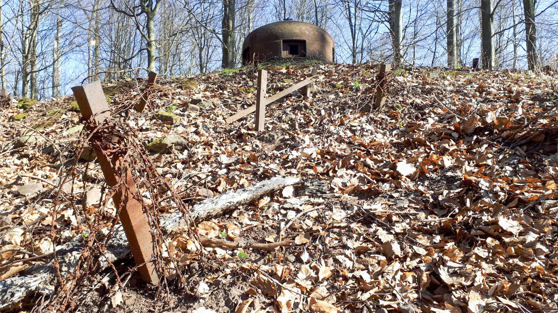 Ligne Maginot - NONNENHARDT N°2 - (Blockhaus pour arme infanterie) - Réseau barbelés devant la cloche GFM - Gregory Fuchs