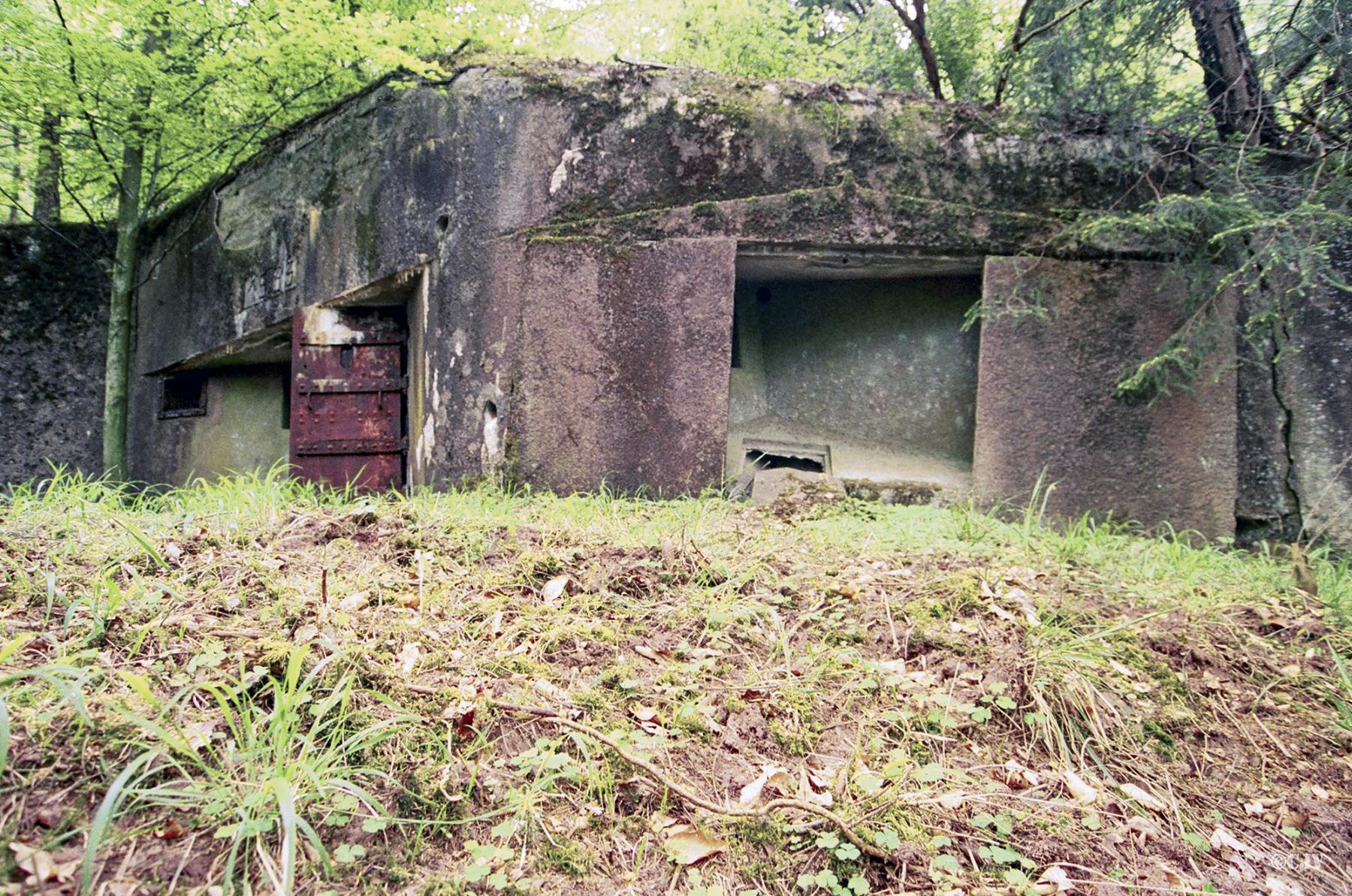 Ligne Maginot - NONNENHARDT N°5 (Blockhaus pour arme infanterie) -  - Lia VERMEULEN