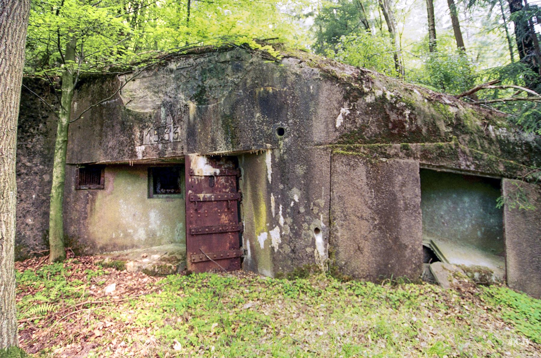 Ligne Maginot - NONNENHARDT N°5 (Blockhaus pour arme infanterie) -  - Lia VERMEULEN