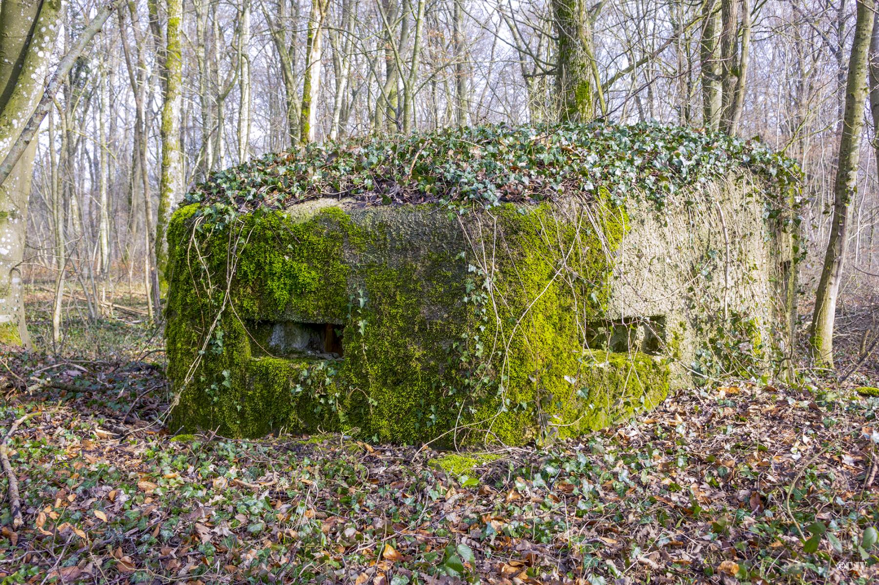 Ligne Maginot - MBA13 - (Blockhaus pour arme infanterie) -  - Lia VERMEULEN
