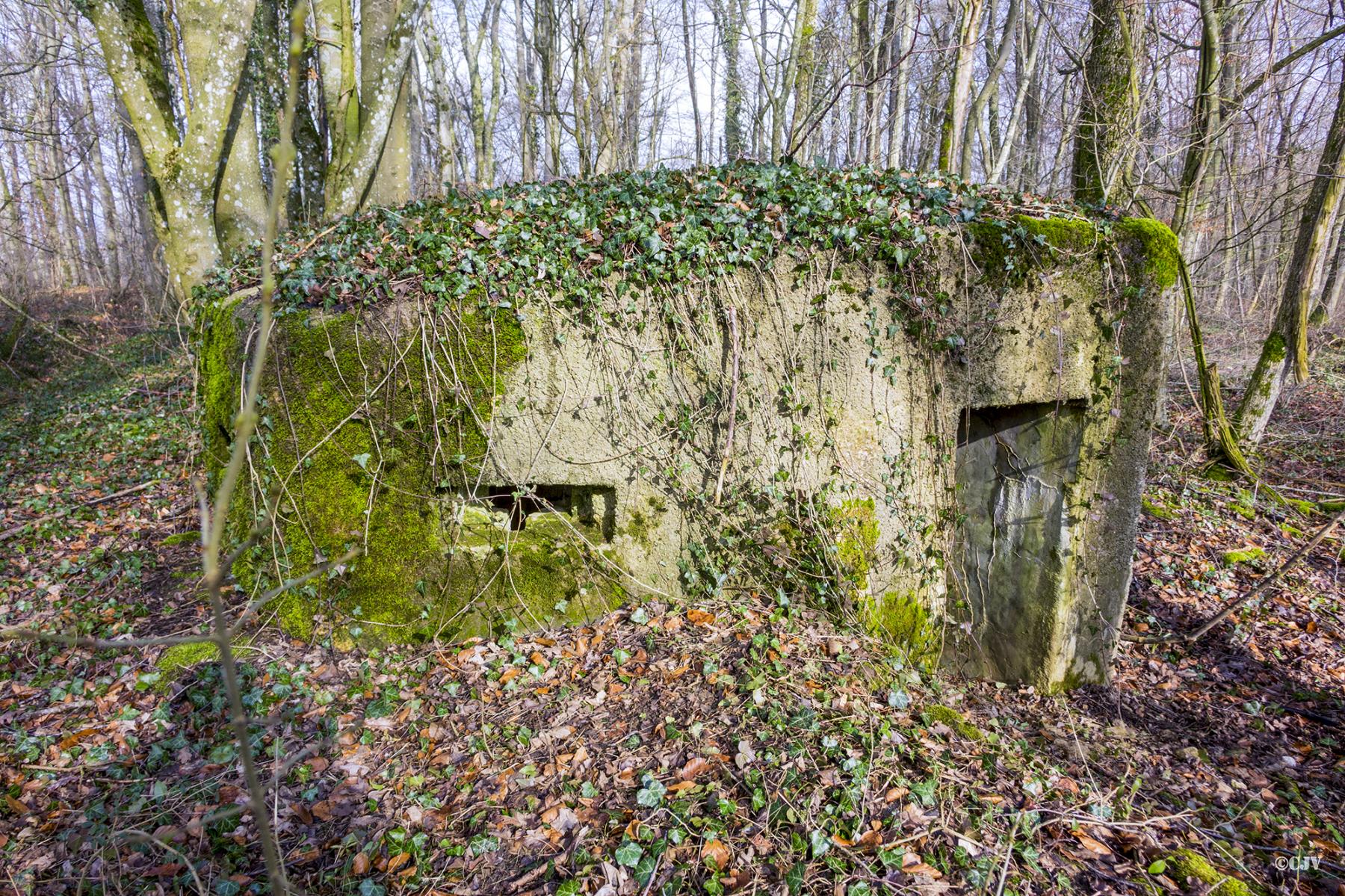 Ligne Maginot - MBA13 - (Blockhaus pour arme infanterie) -  - Lia VERMEULEN