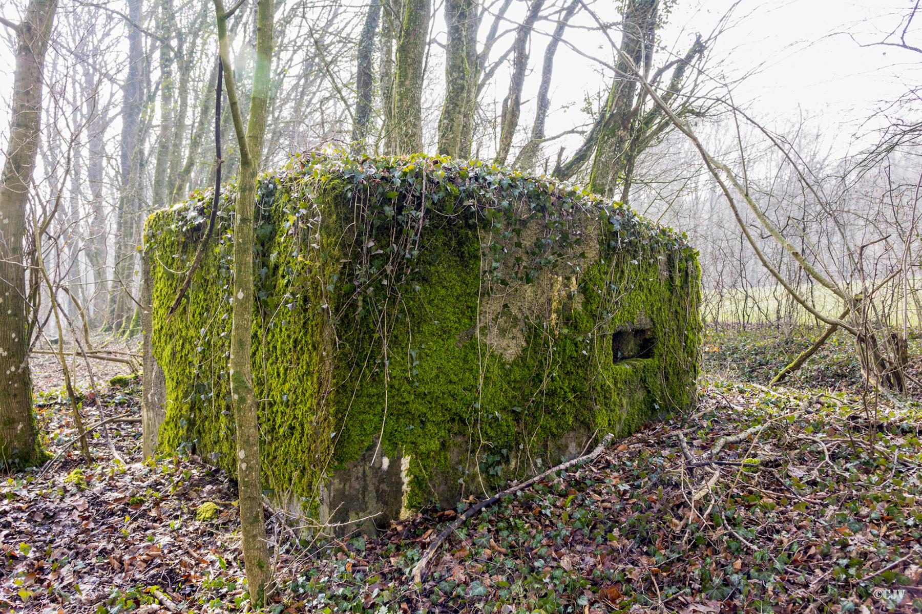 Ligne Maginot - MBA13 - (Blockhaus pour arme infanterie) -  - Lia VERMEULEN
