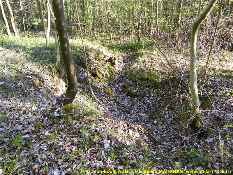 Ligne Maginot - SAUER (III°Bon - 165°RIF) - Tranchées entre PC2 et PC3 -  - Jean-Louis AUBLET & Sylvie MAINGUIN (www.attila-77