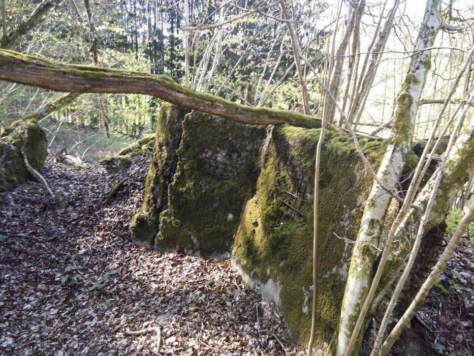 Ligne Maginot - C3 - SCHMELTZBACH 1 - (Blockhaus pour canon) -  - donceuh
