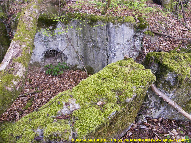 Ligne Maginot - C3 - SCHMELTZBACH 1 - (Blockhaus pour canon) -  - Jean-Louis AUBLET & Sylvie MAINGUIN (www.attila-77