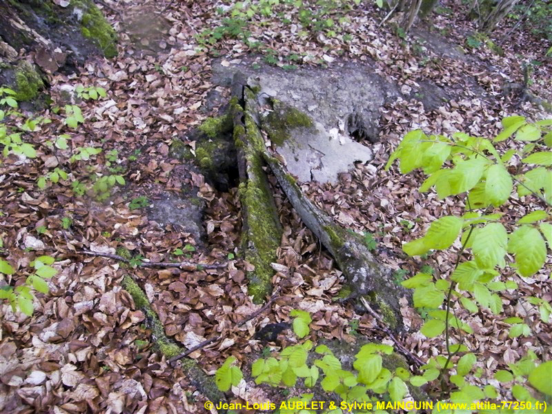 Ligne Maginot - C3 - SCHMELTZBACH 1 - (Blockhaus pour canon) -  - Jean-Louis AUBLET & Sylvie MAINGUIN (www.attila-77