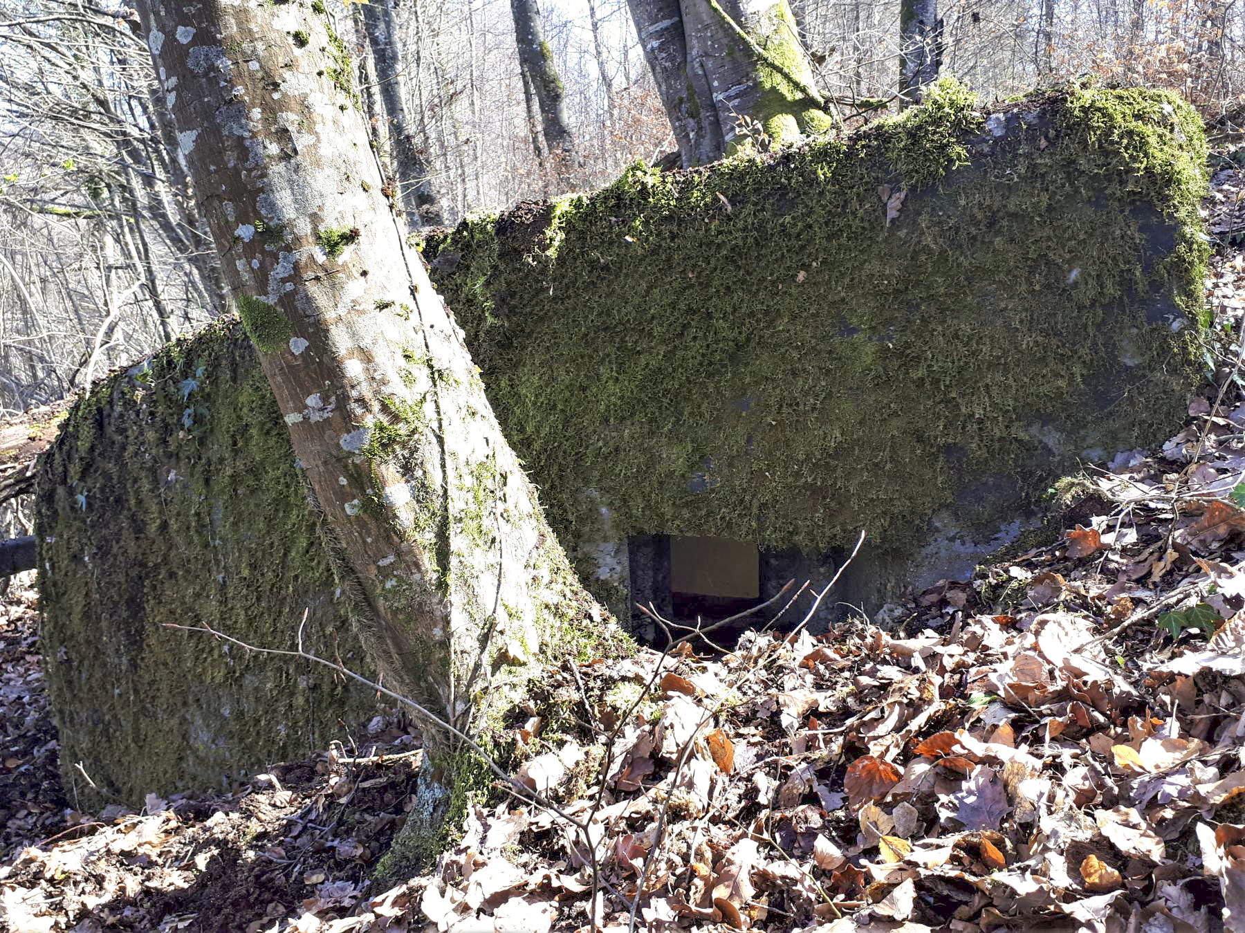 Ligne Maginot - C2 - SCHMELTZBACH 2 - (Blockhaus pour canon) - Créneau latéral - Gregory Fuchs