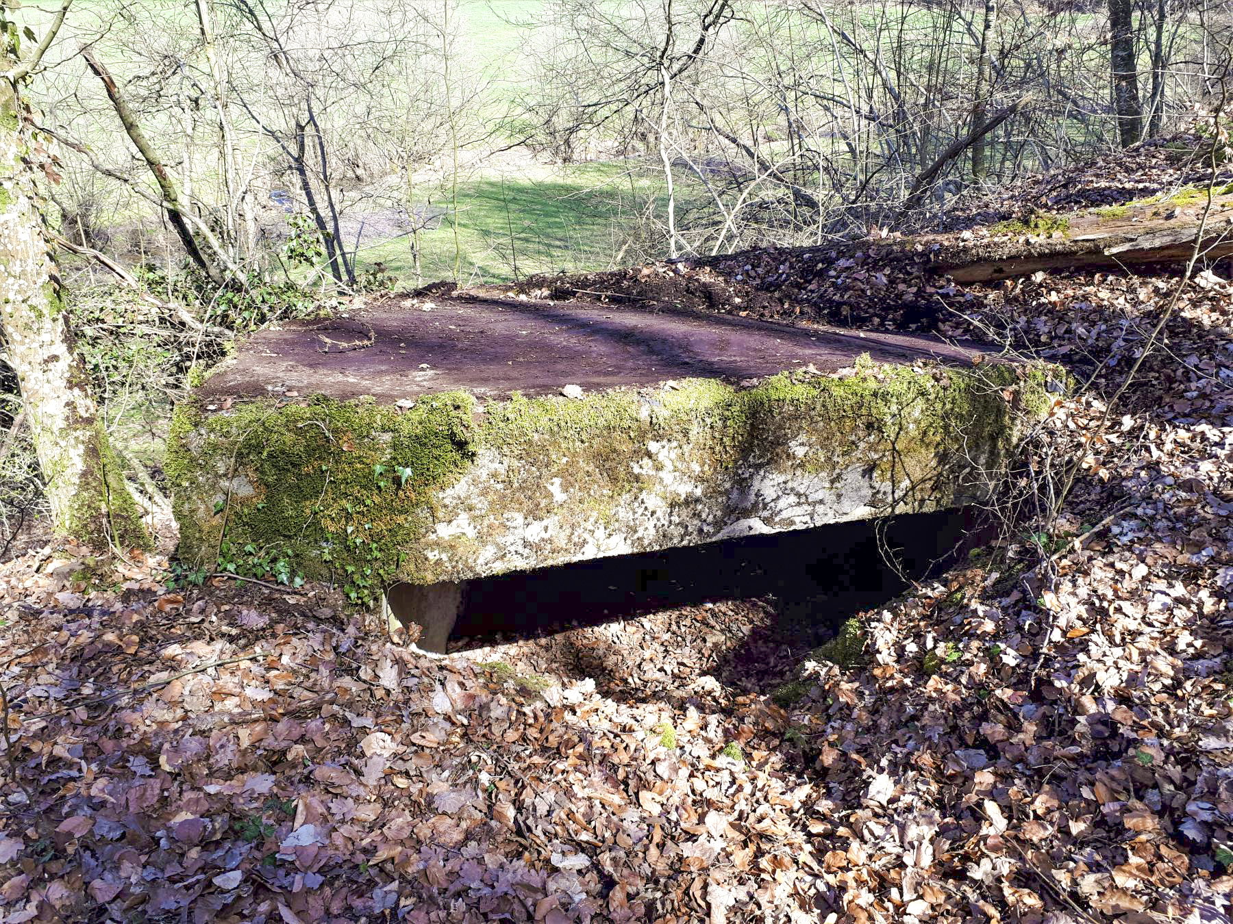Ligne Maginot - C2 - SCHMELTZBACH 2 - (Blockhaus pour canon) - Entrée - Gregory Fuchs