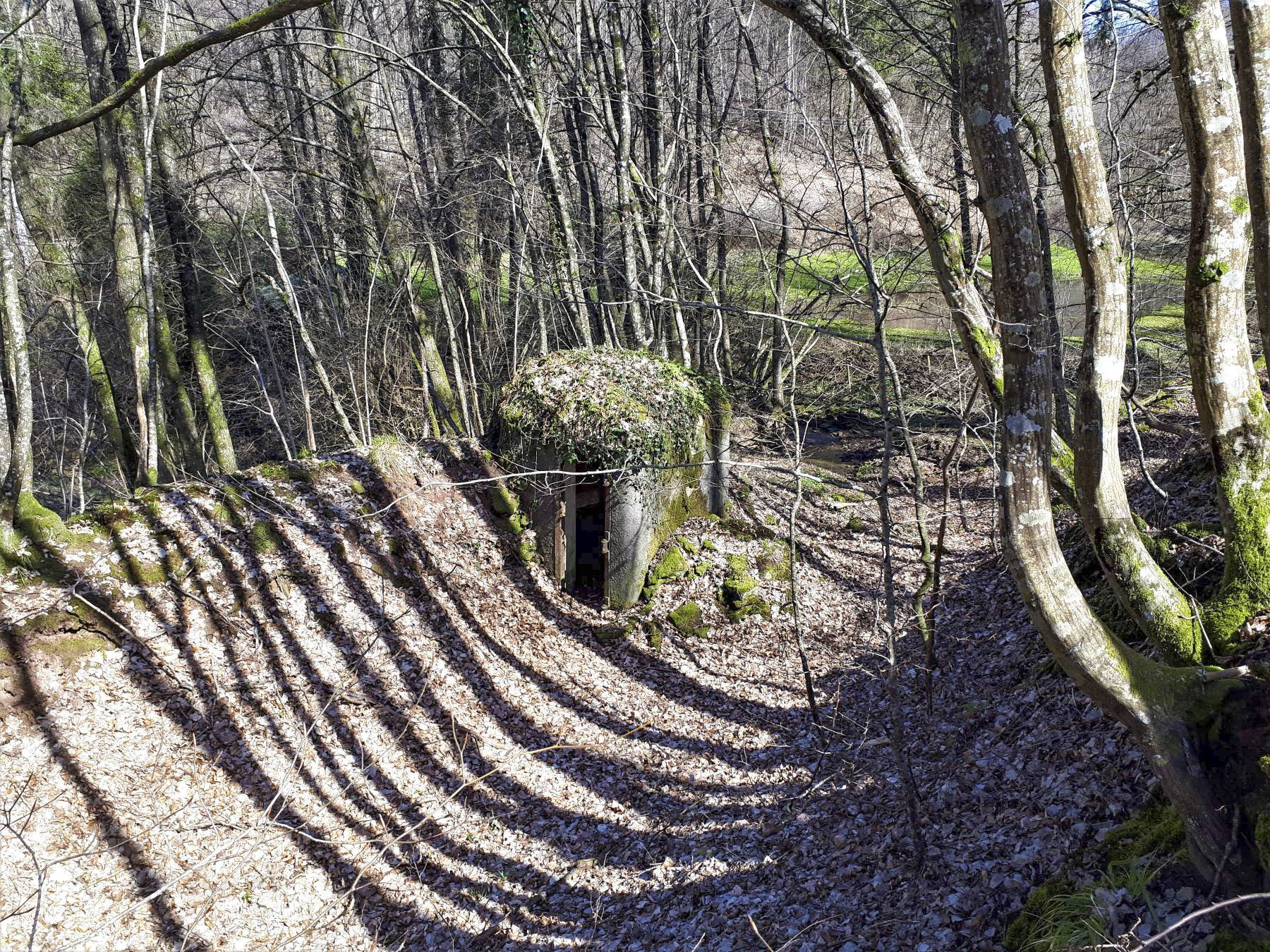 Ligne Maginot - FM5 - SCHMELTZBACH 4 - (Blockhaus pour arme infanterie) - Le bloc intégré dans le talus d'un chemin creux - Gregory Fuchs