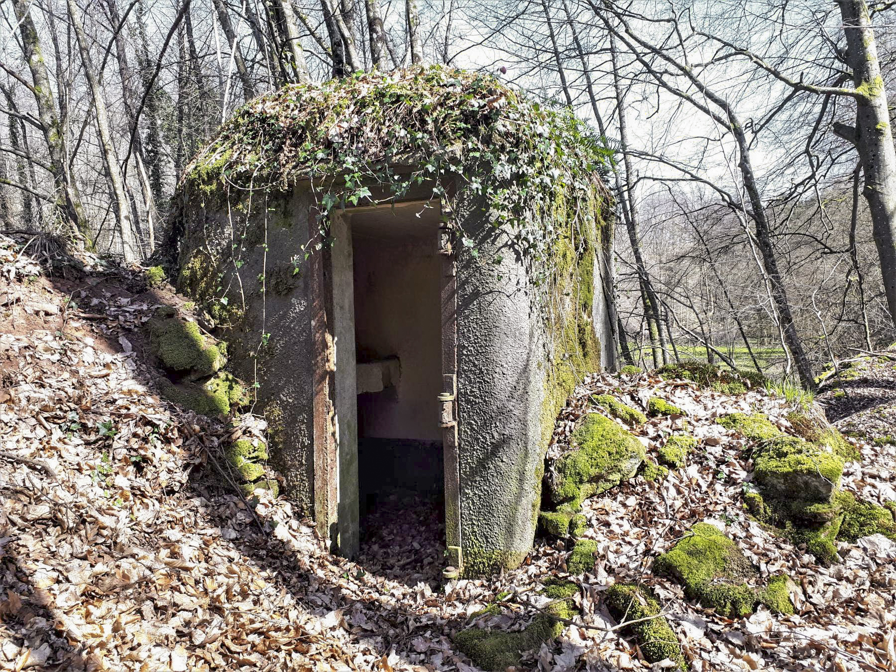 Ligne Maginot - FM5 - SCHMELTZBACH 4 - (Blockhaus pour arme infanterie) - L'entrée - Gregory Fuchs