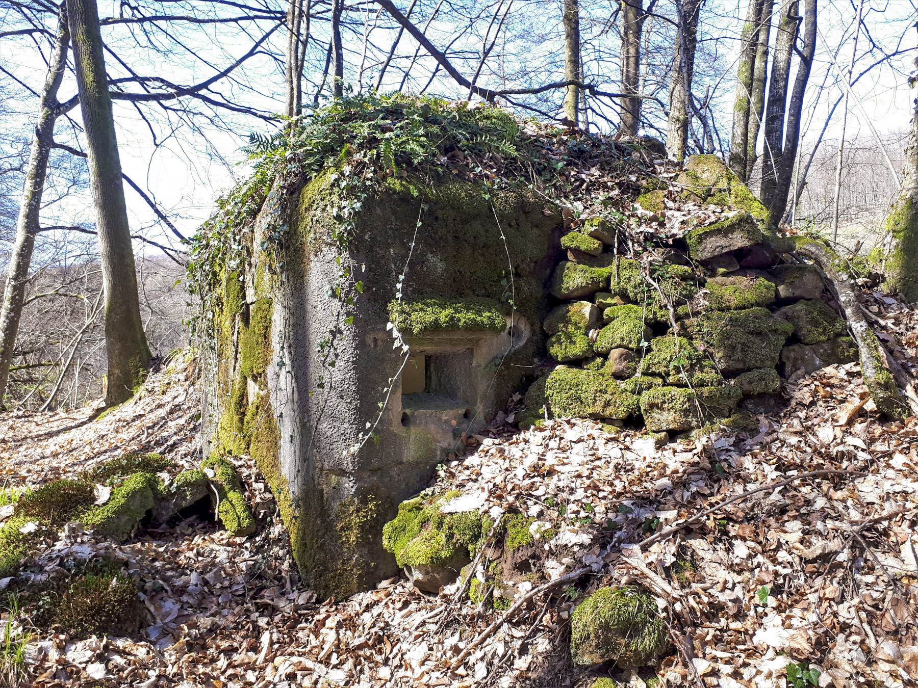 Ligne Maginot - FM5 - SCHMELTZBACH 4 - (Blockhaus pour arme infanterie) - Créneau latéral - Gregory Fuchs