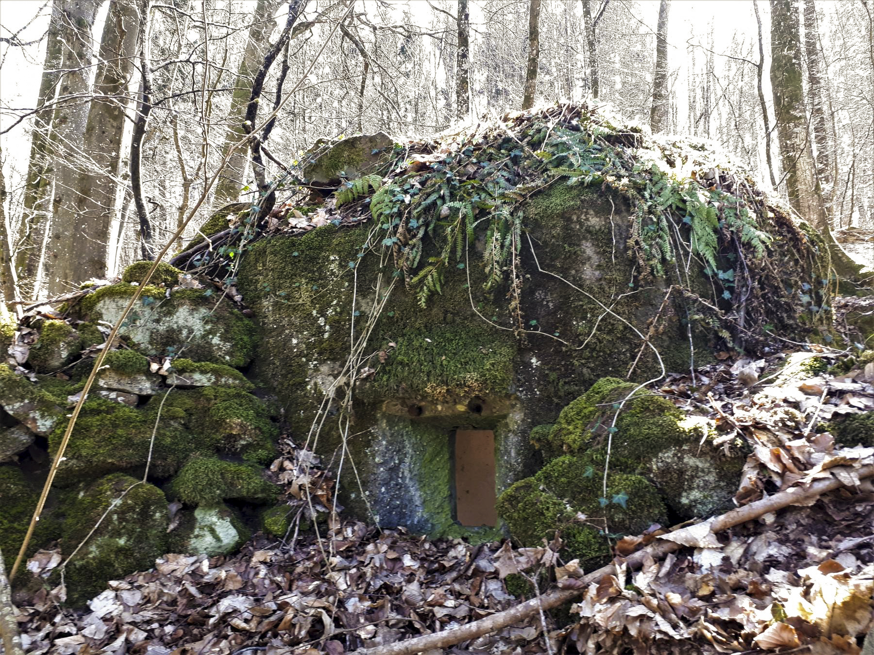 Ligne Maginot - FM5 - SCHMELTZBACH 4 - (Blockhaus pour arme infanterie) - Créneau frontal - Gregory Fuchs