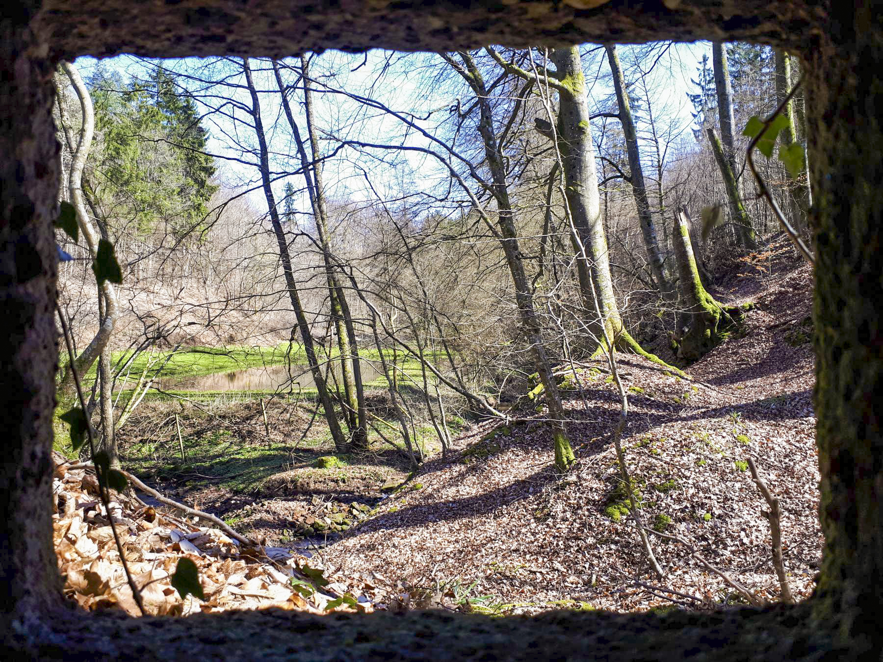 Ligne Maginot - FM5 - SCHMELTZBACH 4 - (Blockhaus pour arme infanterie) - Vue depuis le créneau latéral - Gregory Fuchs