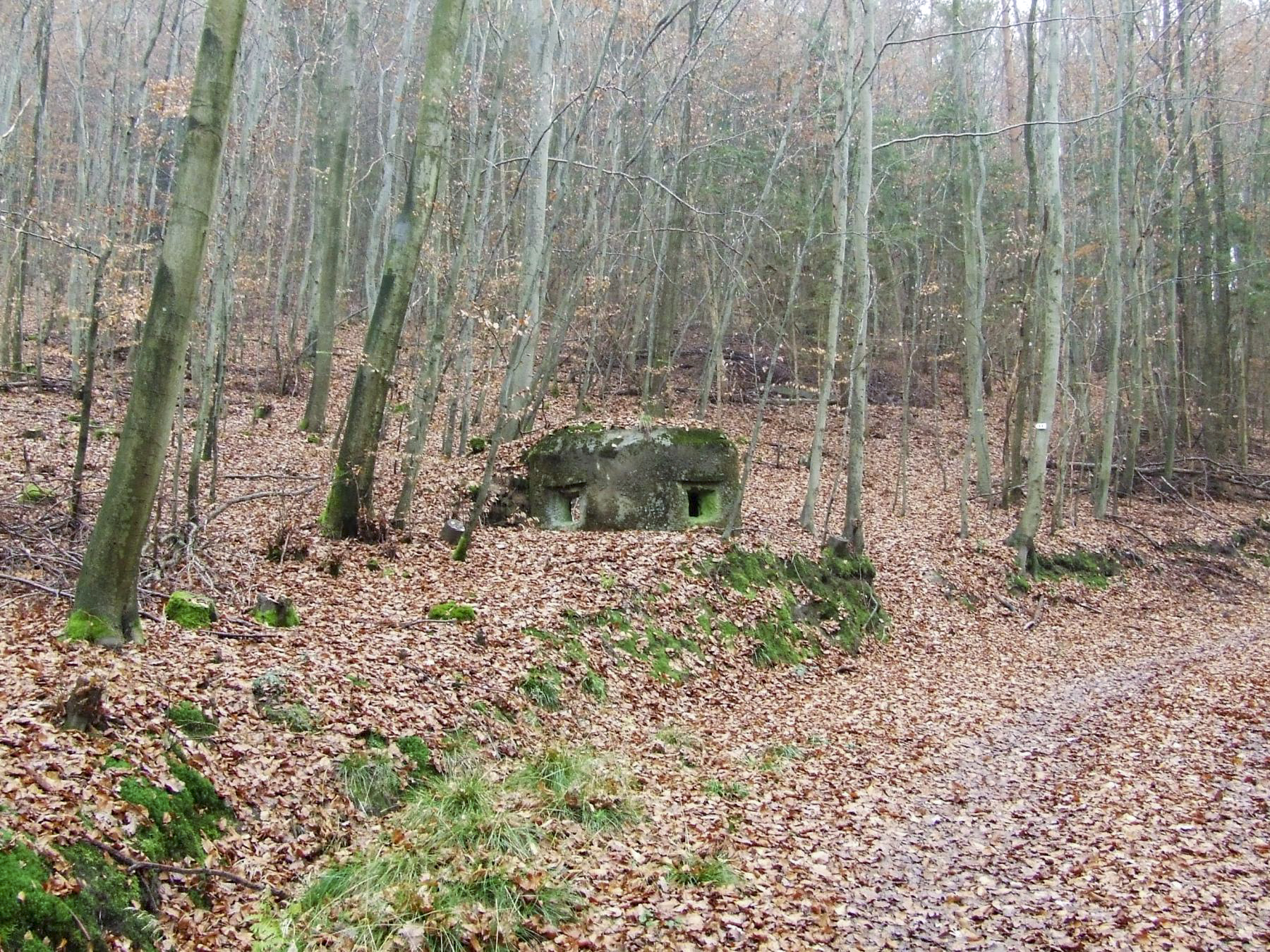 Ligne Maginot - FM54 - SCHWARTZTHAL - (Blockhaus pour arme infanterie) -  - STENGER Mathieu