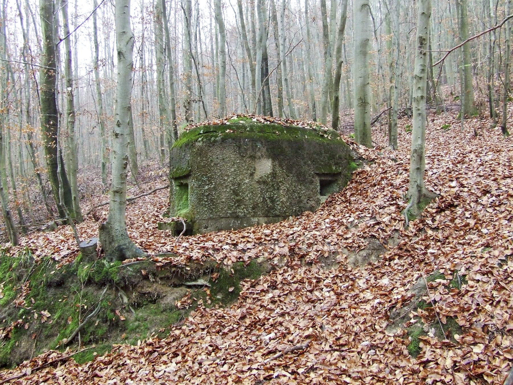 Ligne Maginot - FM54 - SCHWARTZTHAL - (Blockhaus pour arme infanterie) -  - STENGER Mathieu