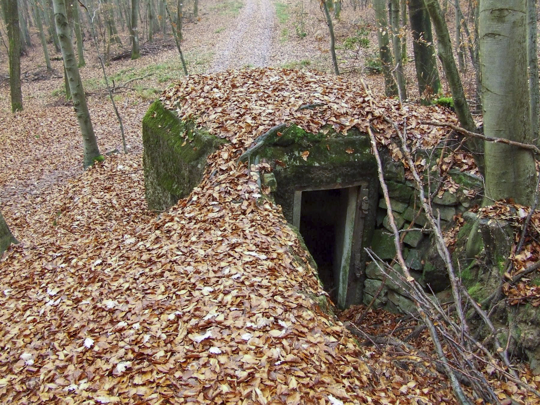 Ligne Maginot - FM54 - SCHWARTZTHAL - (Blockhaus pour arme infanterie) - L'entrée du blockhaus - STENGER Mathieu