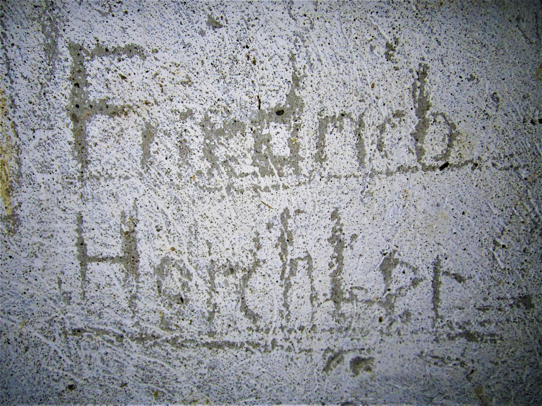 Ligne Maginot - SPIESS 1 - (Blockhaus pour arme infanterie) - Graffiti allemand 'Friedrich Horchter' - Gregory Fuchs