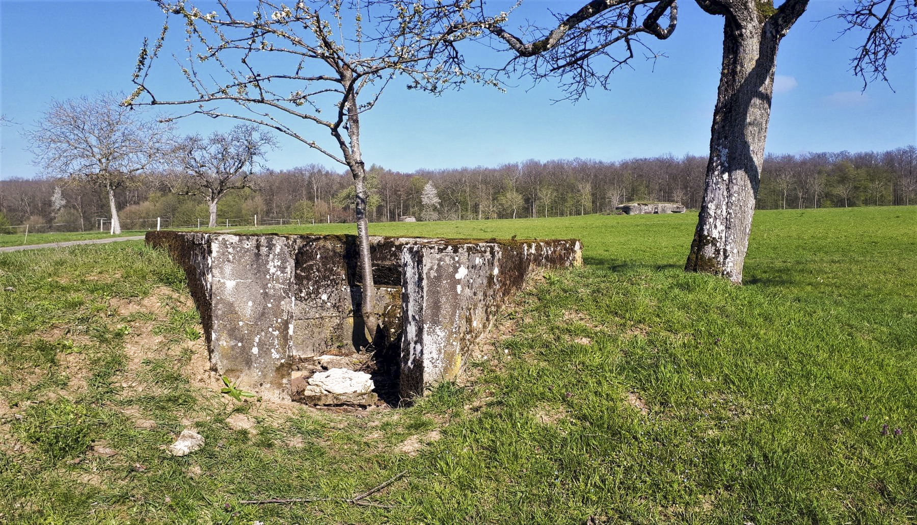 Ligne Maginot - SPIESS 2 - (Cuve pour arme d'infanterie) - Vue sur l'entrée et le bloc Spiess 1 - Gregory Fuchs