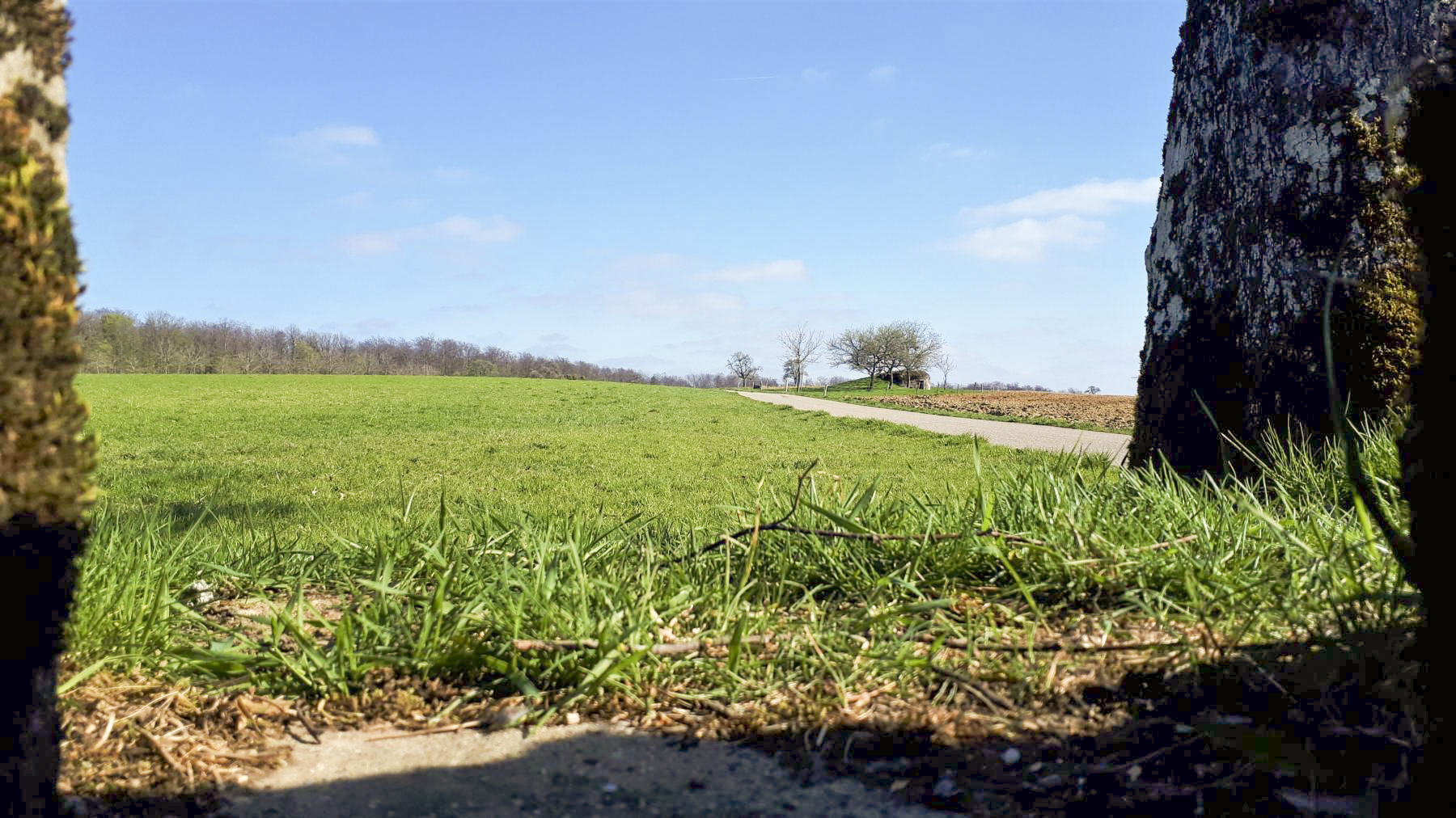 Ligne Maginot - SPIESS 2 - (Cuve pour arme d'infanterie) - Vue depuis le créneau sur la route de Nonnenhardt et le bloc Spiess 3 - Gregory Fuchs