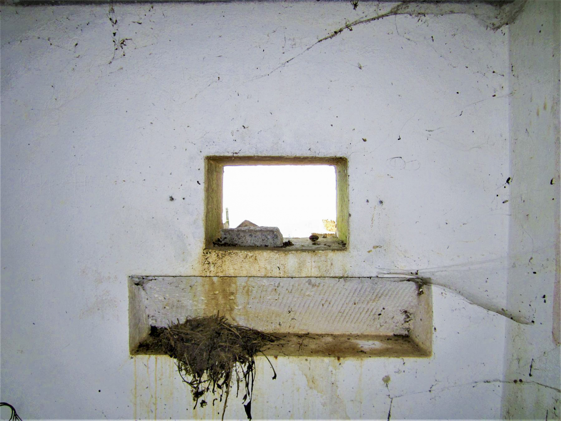 Ligne Maginot - SPIESS 3 - (Blockhaus pour arme infanterie) - Créneau de défense rapprochée de l'entrée - Gregory Fuchs