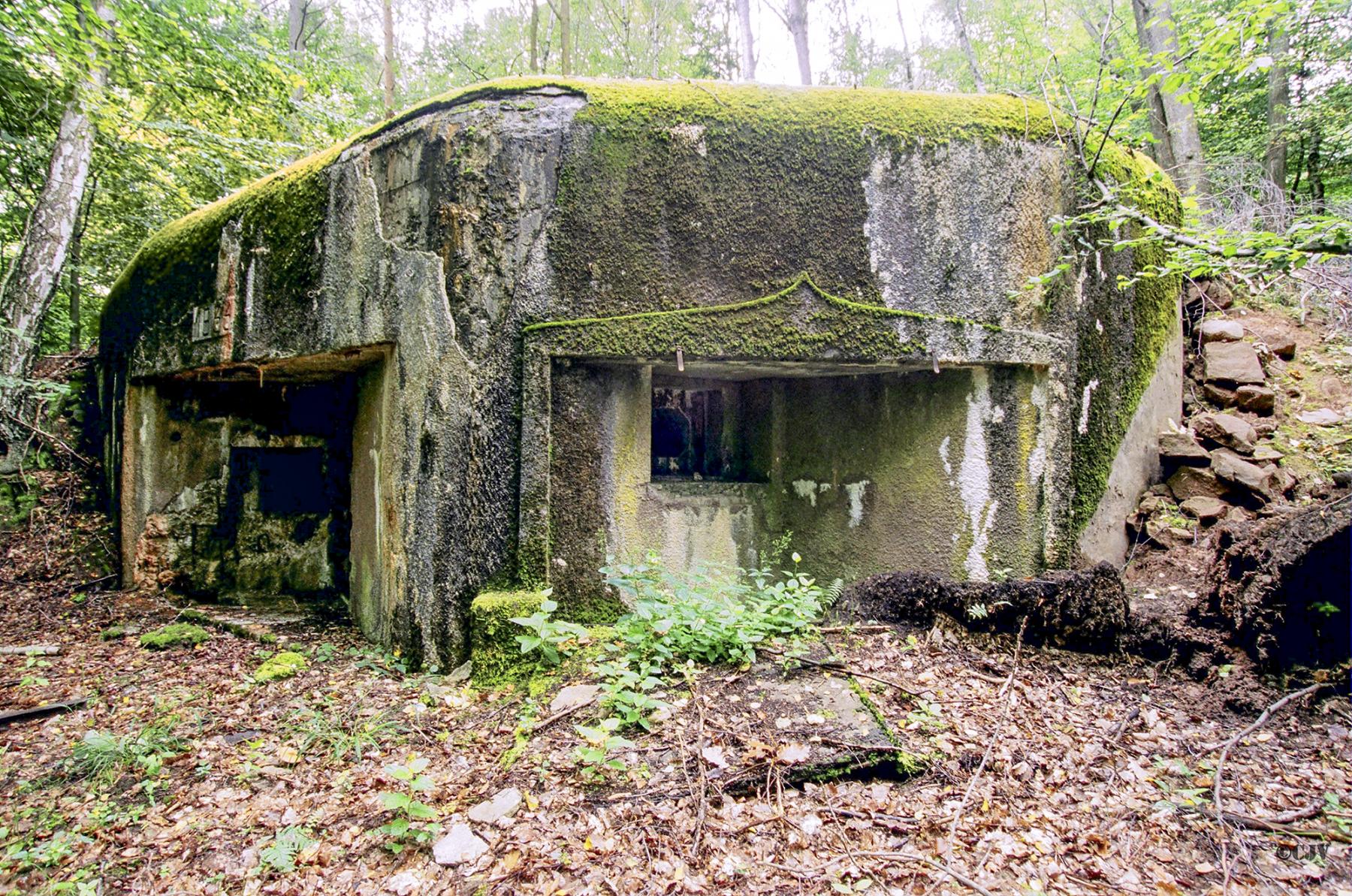 Ligne Maginot - TRAUTBACH EST - (Blockhaus pour arme infanterie) -  - Lia VERMEULEN