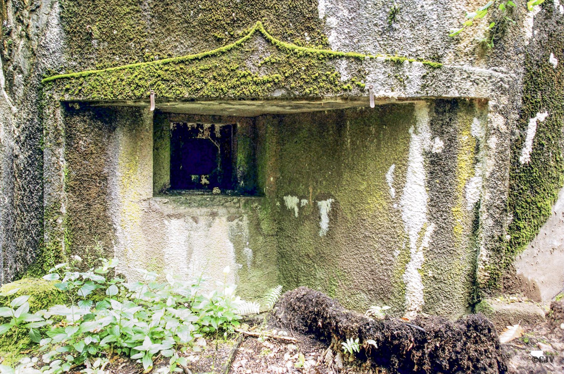 Ligne Maginot - TRAUTBACH EST - (Blockhaus pour arme infanterie) -  - Lia VERMEULEN