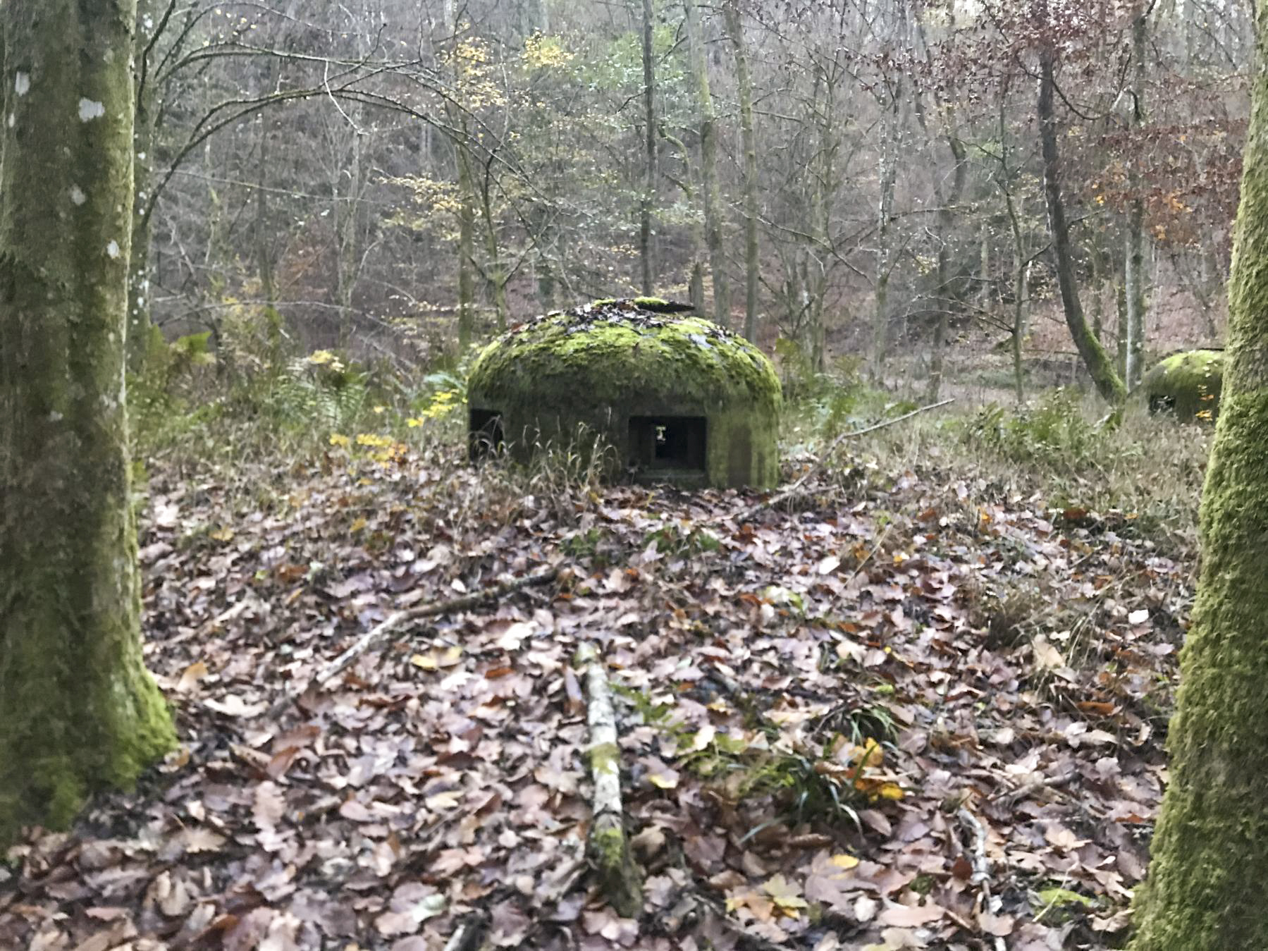 Ligne Maginot - TRAUTBACH OUEST - (Blockhaus pour arme infanterie) - Cloches GFM - Baptltt
