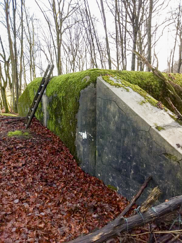 Ligne Maginot - C8B - KALMERICH 6 - (Blockhaus pour canon) -  - jin jac