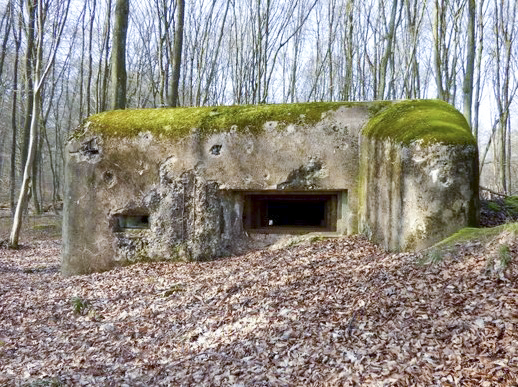 Ligne Maginot - C8B - KALMERICH 6 - (Blockhaus pour canon) -  - AALMA - lignemaginot.com
