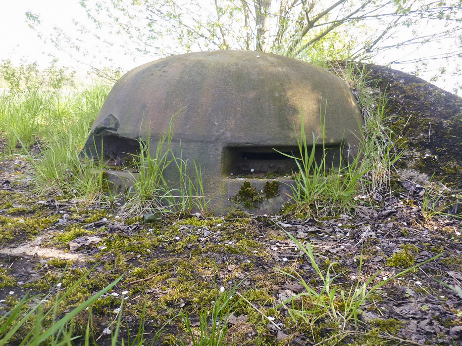 Ligne Maginot - Observatoire d'artillerie D01 - Gros Bois - 