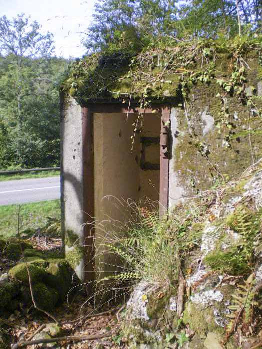 Ligne Maginot - FM15 - VERLORENERBACH 1 - (Blockhaus pour arme infanterie) -  - donceuh