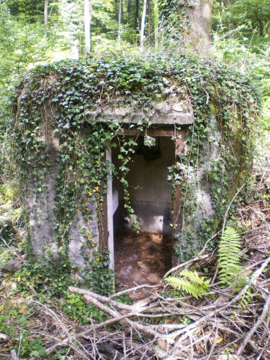 Ligne Maginot - FM14 - VERLORENERBACH 2 - (Blockhaus pour arme infanterie) -  - donceuh