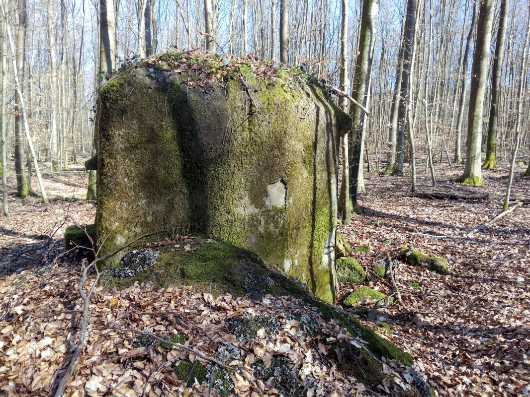 Ligne Maginot - FM52 - VERLORENERBACH 3 - (Blockhaus pour arme infanterie) -  - donceuh