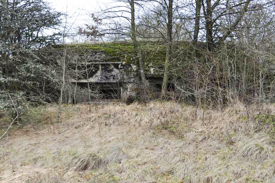 Ligne Maginot - DB2 - (Blockhaus pour canon) - Vue générale sur le Blockhaus - Pruzsina jérome