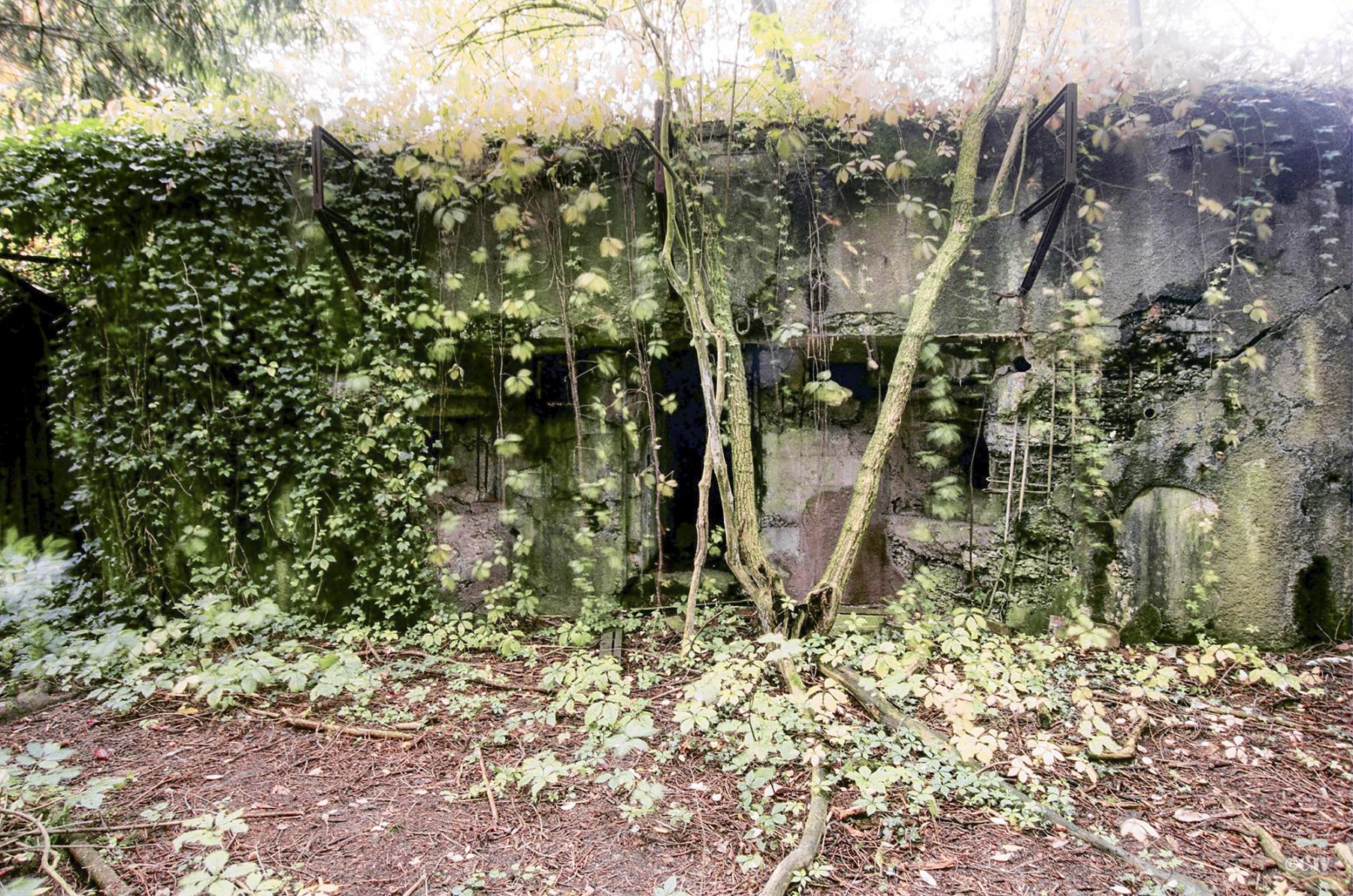 Ligne Maginot - VERRERIE - (Casemate d'infanterie - double) -  - Lia VERMEULEN
