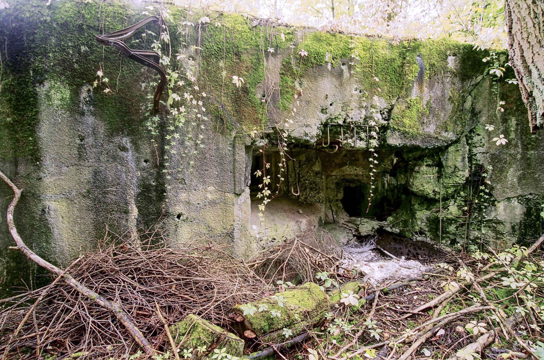 Ligne Maginot - VERRERIE - (Casemate d'infanterie - double) -  - Lia VERMEULEN