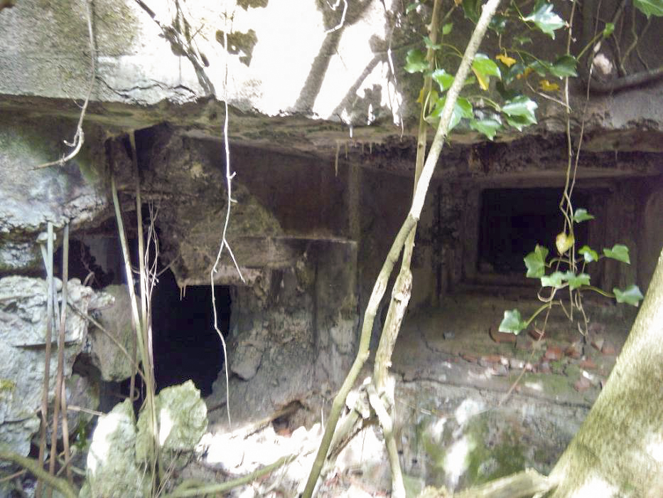 Ligne Maginot - VERRERIE - (Casemate d'infanterie - double) -  - donceuh
