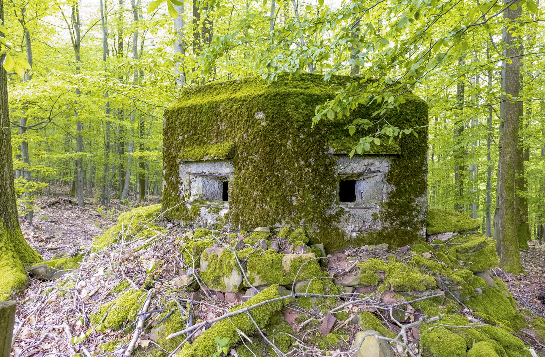 Ligne Maginot - FM68 - VERRERIE 1 - (Blockhaus pour arme infanterie) -  - Lia VERMEULEN