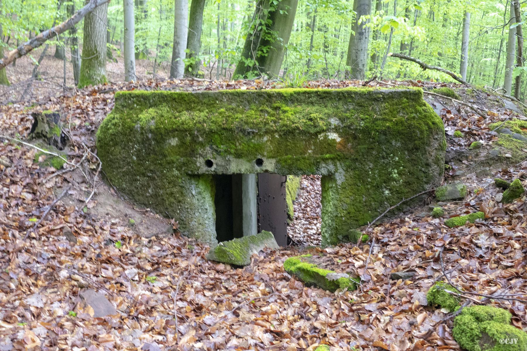 Ligne Maginot - C7 - VERRERIE 2 - (Blockhaus pour canon) -  - Lia VERMEULEN