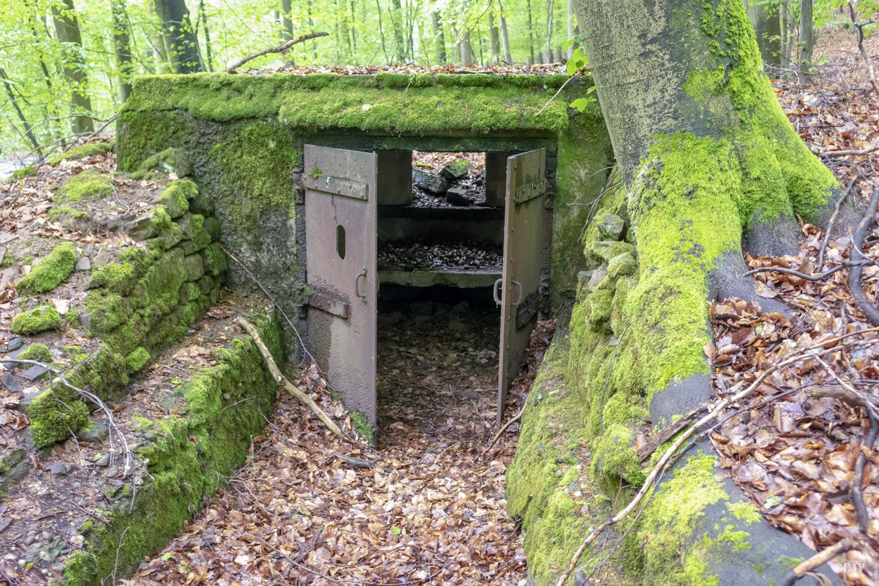 Ligne Maginot - C7 - VERRERIE 2 - (Blockhaus pour canon) -  - Lia VERMEULEN