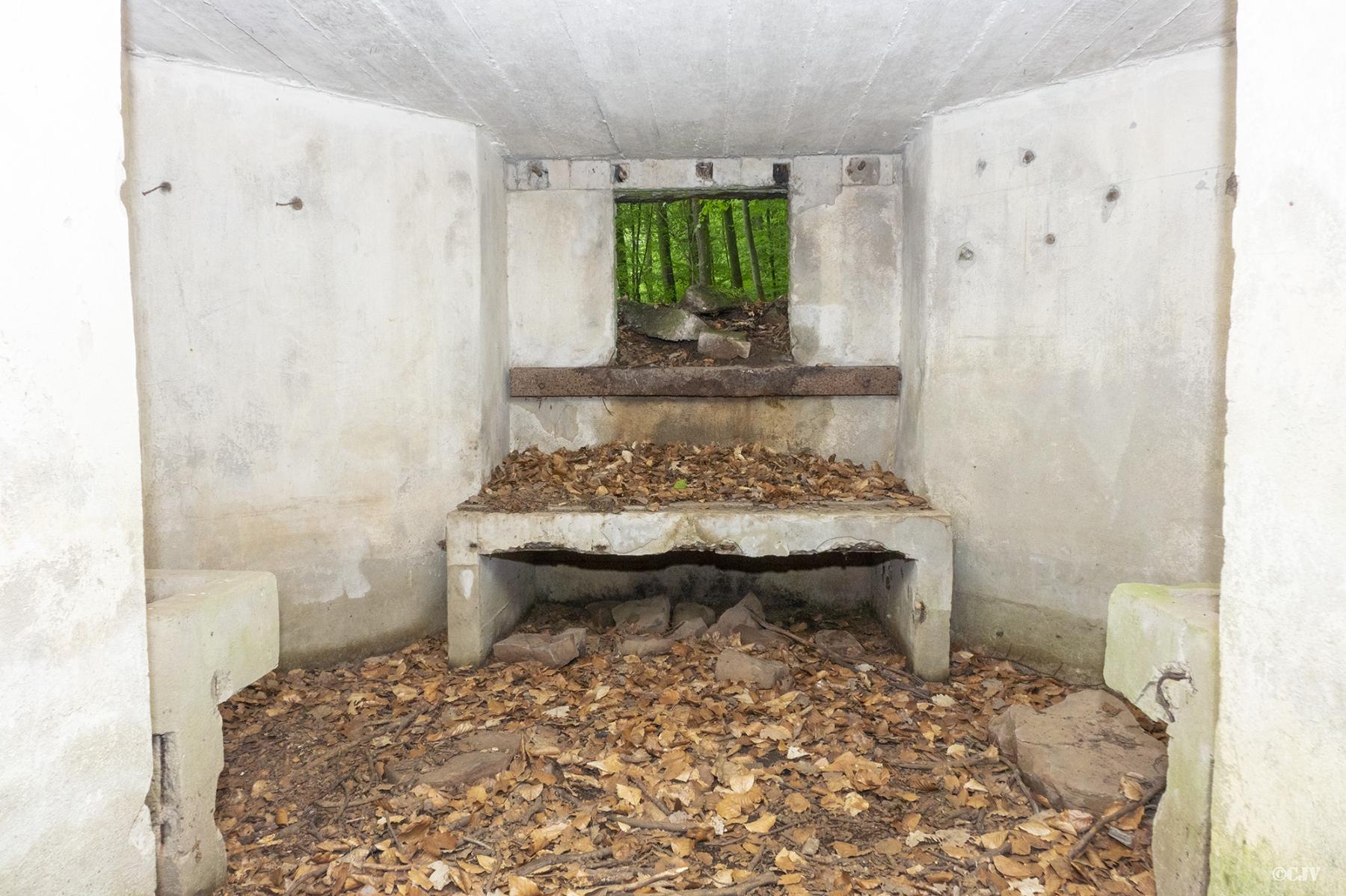 Ligne Maginot - C7 - VERRERIE 2 - (Blockhaus pour canon) -  - Lia VERMEULEN